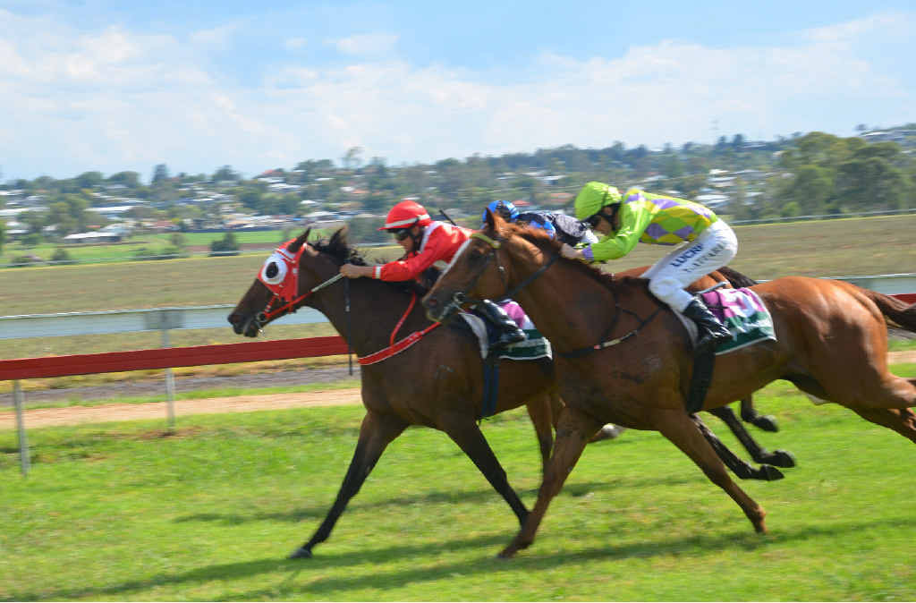 LUCKY LENGTH: Viv’s Vegas and jockey Michael Murphy win the Class 3 Plate 1500m at Allman Park. LUCKY LENGTH: Viv’s Vegas and jockey Michael Murphy win the Class 3 Plate 1500m at Allman Park.